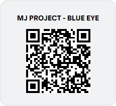 paypal QR